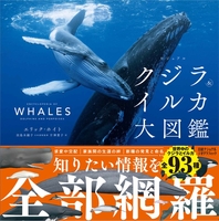 海棲哺乳類大全 田島木綿子　山田格　緑書房　クジラ　イルカ　海獣 書籍『海棲哺乳類大全 彼らの体と生き方に迫る』 - いきもののわ