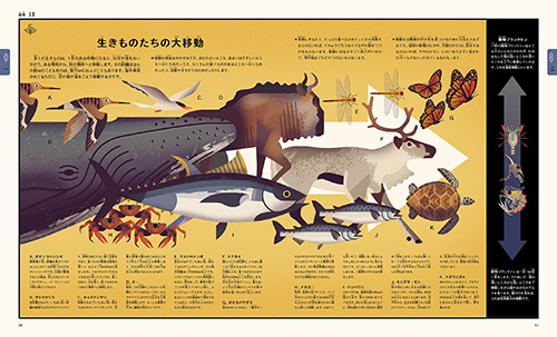 ���R�̂ӂ�����}��