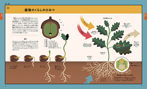 ���R�̂ӂ�����}��