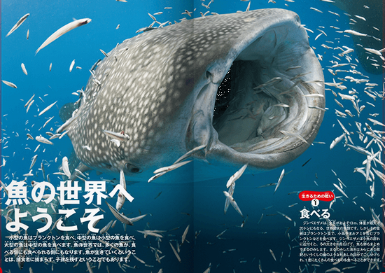 学研の図鑑 第7巻 LIVE 魚