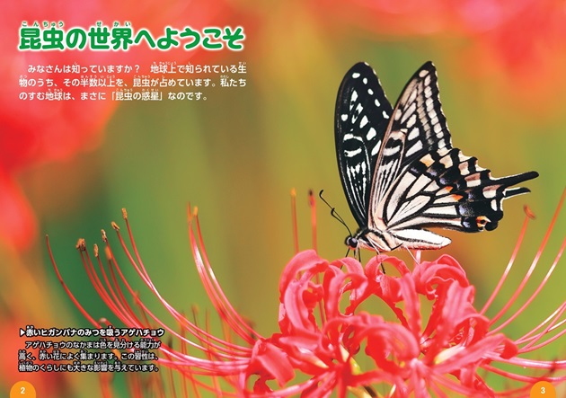 学研の図鑑LIVEクイズ 昆虫のクイズ図鑑 | 岡島 秀治 | 絵本ナビ