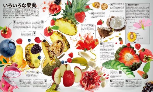 ���w�� 13 1�^2�̃r�b�N����}��