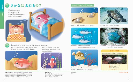 ふしぎの図鑑 楽しく遊ぶ学ぶ