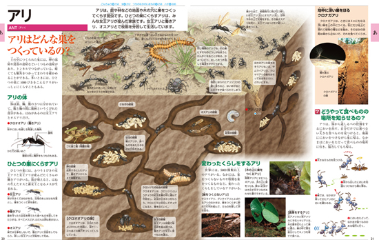 こども大百科大図解 キッズペディア 4冊セット!!