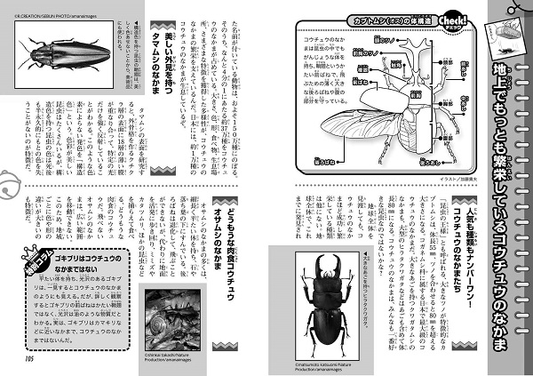 ドラえもん科学ワールド 昆虫の不思議 絵本ナビ 藤子 F 不二雄 藤子プロ 岡島 秀治 みんなの声 通販