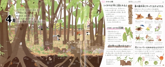 雑木林の一年