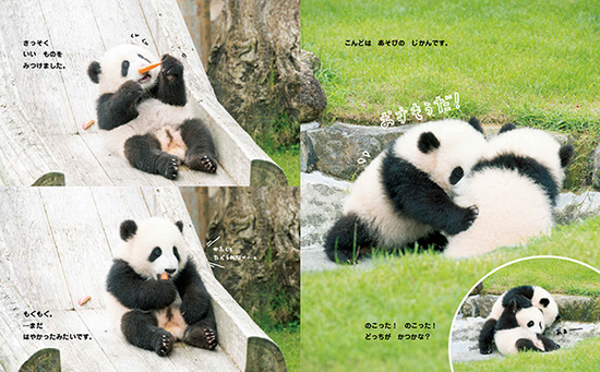 �����������ς�