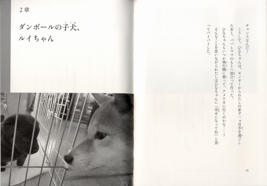 捨て犬 未来と子犬のマーチ もう 安心していいんだよ 絵本ナビ 今西乃子 浜田 一男 みんなの声 通販