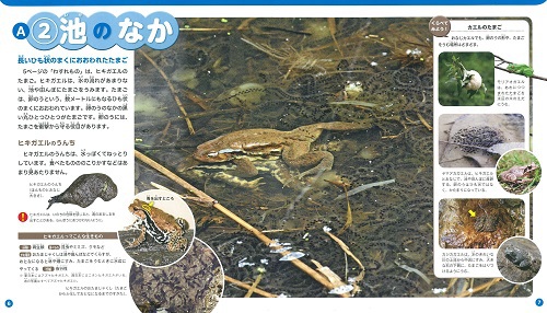 �N�C�Y�ł��������I �������̂����̂킷�����3����