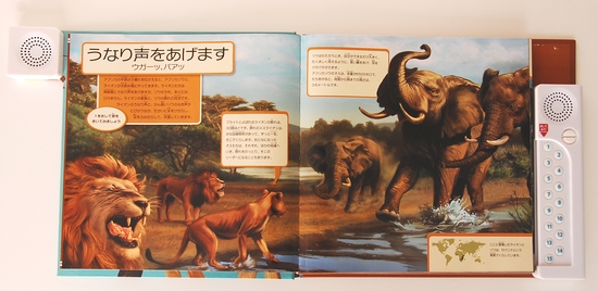 �쐶�����̐�