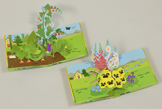 デビッド・A・カーター しかけ絵本 セット とびだす絵本 サマー