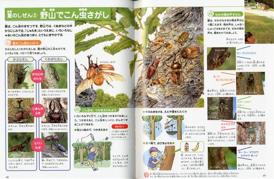 フレーベル館の図鑑ナチュラ12 はる なつ あき ふゆ | 無藤 隆,無藤 隆