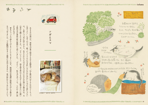 �����ۂ����ɁA�˂�10�҂��ƁB�`�G�{��Ƃ̐X���炵�`