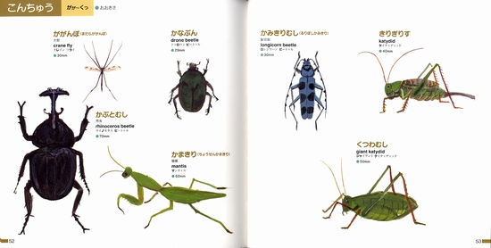 くもんのはじめてのずかん さかな みずのいきもの こんちゅう 数ページよめる 絵本ナビ 今泉 忠明 岡島 秀治 あき びんご みんなの声 通販 くもんのはじめてのずかん さかな みずのいきもの こんちゅう 数ページよめる 絵本ナビ 今泉 忠明 岡島 秀治 あき びんご みんなの声 通販