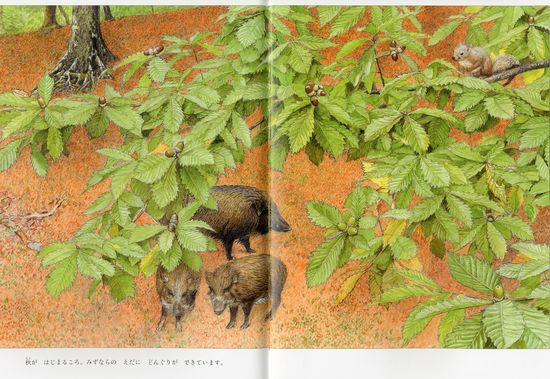 �X�݂̂��Ȃ�