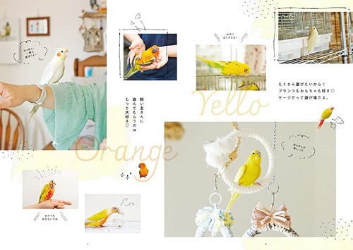 炵 VolD4