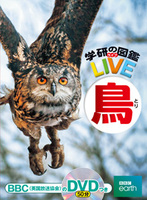 w̐} 5 LIVE 