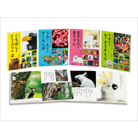 教科書にでてくる 生きものをくらべよう－シリーズ | 絵本ナビ