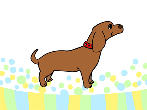 �i�f�W�^���j������������