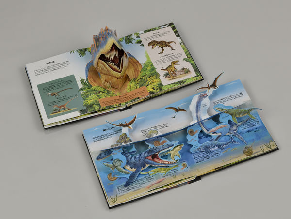 絵本　洋書　6冊　英語の本　恐竜　Dinosaur 　サメ　Shark　3D 3D恐竜博物館 | ハイドン・チルドレンズ・ブック,ハイドン
