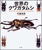 世界の珍奇クワガタムシ 世界のクワガタムシ | 今森 光彦 | 絵本ナビ：レビュー・通販