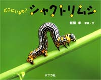 どこにいるの シャクトリムシ 絵本ナビ 新開 孝 新開 孝 みんなの声 通販