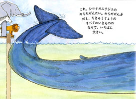 シロナガスクジラより 大きいものって いるの 数ページよめる 絵本ナビ ロバート E ウェルズ ロバート E ウェルズ せな あいこ みんなの声 通販