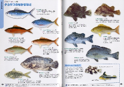 魚の図鑑