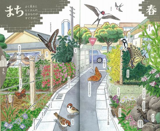 【美品】まるごとわかる日本人はじめて百科全5巻セット希少知育図鑑 51cErLEzlYL._AC_SY200_QL15_.jpg