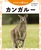 �ǂ��Ԃ̐Ԃ����
