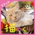 Cats Calendar L߂ tB2024 1N366AL܂݂