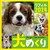 Dogs Calendar ߂ tB2024 т