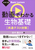 w Basic Lecture ł킩鐶b ʃeXg΍
