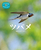�c�o��