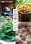 NHK���傤�̗��� ���R�^�J�q�̂���₷����d�����V�s