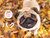 2027�N�J�����_�[ ���C�h�� �p�O