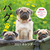 2027�N�J�����_�[ �p�O
