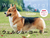 2027�N�J�����_�[ ���C�h�� �E�F���V���E�R�[�M�[