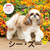 2027�N�J�����_�[ �V�[�E�Y�[