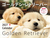 2027�N�J�����_�[ ���C�h�� �S�[���f���E���g���[�o�[