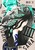 �o�[�h�����h�̎M 4