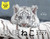 2027 �قڂ˂��J�����_�[