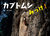 JugV݂I
