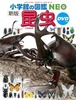 wق̐}NEO  kVŁl DVD