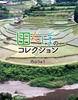 ӂRNV(9) cڂ̃RNV