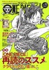 ONE PIECE magazine VolD10