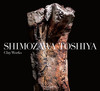 qiW SHIMOZAWA TOSHIYA Clay Works