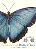 ̒nɂ Ɖ Sensational Butterflies