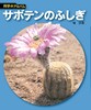 【新装版】科学のアルバム　サボテンのふしぎ