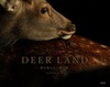 DEER LAND NmȂ̍